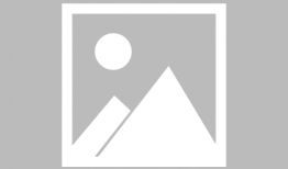 猎场在线观看,职场精英的逆袭之路